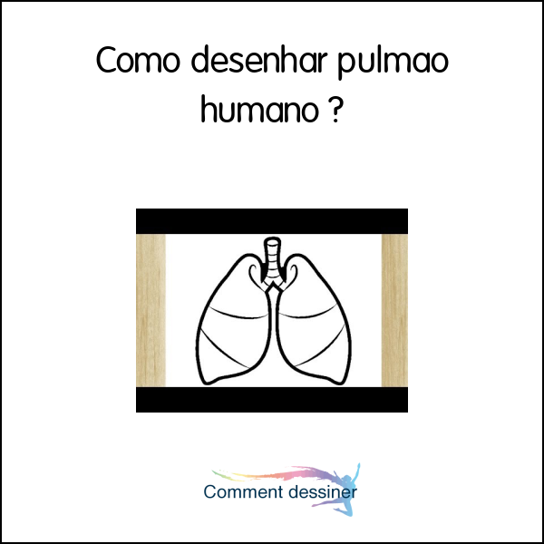 Como desenhar pulmão humano